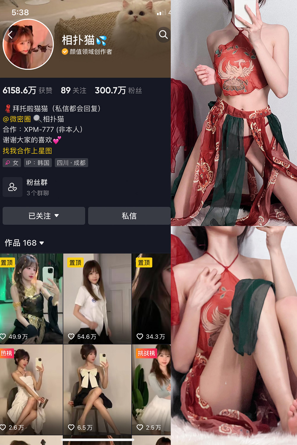 抖音 相扑猫 微密圈 嘉宾贴 NO.034期 【15P】最新至:2024.8.20-萤火集