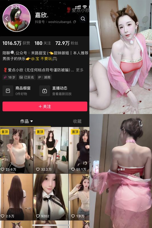 抖音 嘉欣 微密圈  NO.011 【17P4V】最新至：2025.5.12-萤火集